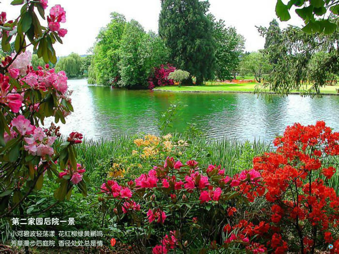 053 第二家园后院一景.jpg