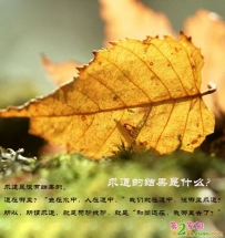 求道的结果是什么？